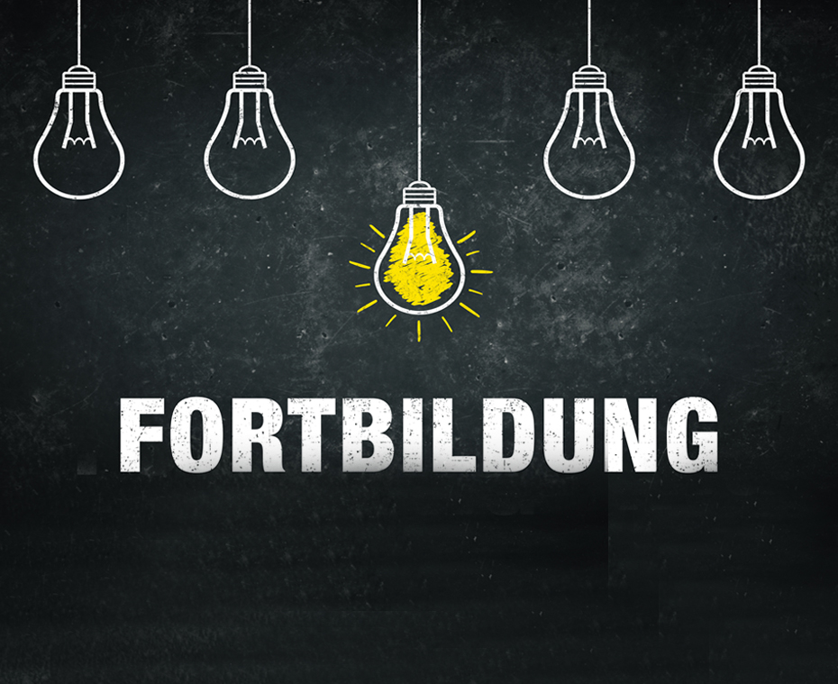 Restbudget für Fortbildung und Beratung, Wort "Fortbildung" auf schwarzer Tafel, im Hintergrund Glühbirnen aufgemalt, von welchen nur eine in der Mitte leuchtet